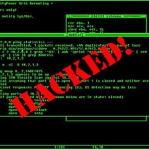 Logs from Zeus 1 GB (CCs, PayPals, Bank Accs…)