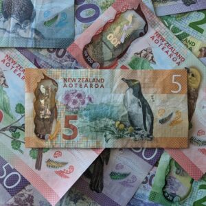 Buy New Zealand Counterfeit online