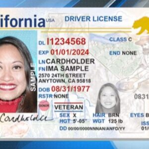 California Driver’s License