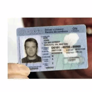 Canadian Driver’s License